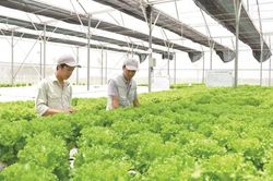 Nghệ An lên kế hoạch thúc đẩy kinh tế tuần hoàn
