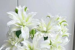 Tử vi ngày 18/3/2025 của 12 cung hoàng đạo: Song Tử sẽ đối mặt thử thách