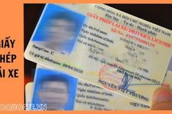 Những trường hợp không được đổi giấy phép lái xe từ ngày 1/3/2025