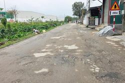Nghệ An: Tuyến đường tỉnh 542E xuống cấp nghiêm trọng