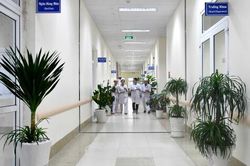Góc xanh công sở