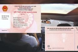 Từ 1/3/2025, không cấp lại giấy phép lái xe trong trường hợp nào?