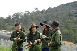 'Dẹp loạn' vấn nạn thổi phồng quảng cáo của các KOL, KOC bằng cách nào?