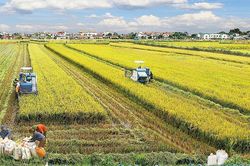 Việt Nam - một địa điểm đáng mơ ước để kinh doanh