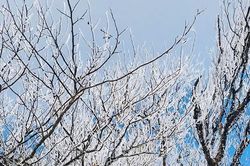 Băng giá xuất hiện giữa tháng 3 ở đỉnh núi Tà Xùa