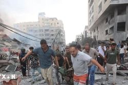 Pháp, Saudi Arabia thảo luận về tiến trình hòa bình ở Ukraine và Gaza
