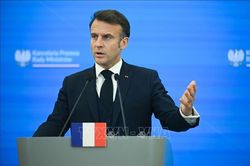 Pháp, Saudi Arabia thảo luận về tiến trình hòa bình ở Ukraine và Gaza