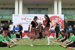 Đà Nẵng: Hơn 6.000 lượt sinh viên tham gia lễ hội Giao lưu văn hóa Việt - Nhật