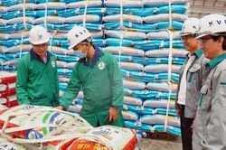 Phân Bón Cà Mau tăng cường 'độ phủ' bộ sản phẩm NPK Cà Mau Poly Phosphate tại thị trường Campuchia