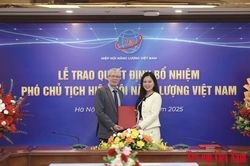 Lãnh đạo cấp cao T&T Group làm Phó Chủ tịch Hiệp hội Năng lượng Việt Nam