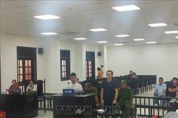 Phạt tù hai đối tượng sản xuất, buôn bán hàng giả là thuốc bảo vệ thực vật