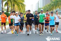 Hơn 7.000 vận động viên dự cuộc thi marathon quốc tế Đà Nẵng 2025
