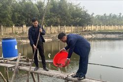 Áp dụng khoa học công nghệ, nâng cao sản lượng nuôi thủy sản