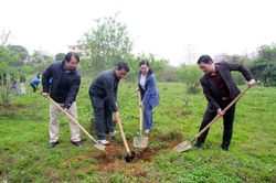 Phát động 'Tết trồng cây đời đời nhớ ơn Bác Hồ' - Xuân Ất Tỵ năm 2025