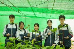 Nhóm học sinh Nghệ An ứng dụng công nghệ khai thác tiềm năng dược liệu dưới tán rừng
