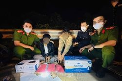 Phát hiện, bắt giữ các đối tượng vi phạm pháp luật