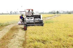 UBND huyện Châu Phú trả lời kiến nghị của cử tri