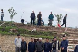 Khám phá chi tiết 'cực lạ' bên trong thuyền cổ Luy Lâu