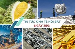 Tin tức kinh tế ngày 25/3: Việt Nam xuất khẩu lô sầu riêng đông lạnh đầu tiên sang Trung Quốc