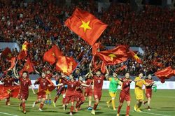 Tạo vị thế cho thể thao Việt Nam
