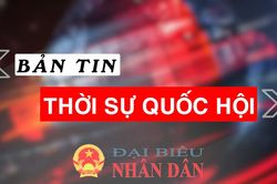 Bản tin Thời sự Quốc hội ngày 26.3.2025