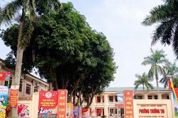 Đại hội các đảng bộ phường, xã nhiệm kỳ 2025-2030 ở Nghệ An hoàn thành trước ngày 31/8/2025
