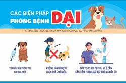 Tăng cường các biện pháp phòng, chống bệnh dại