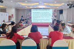 Thảo luận kế hoạch triển khai khoản viện trợ quốc tế hỗ trợ hộ dân bị ảnh hưởng bởi bão Yagi