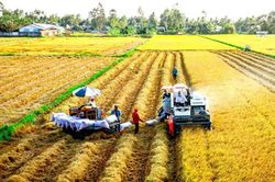 Sáp nhập tỉnh, thành phố: Thời cơ chín muồi cho cuộc sắp xếp mang tầm lịch sử!
