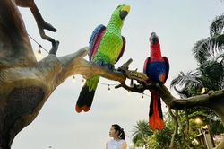 Trịnh Công Sơn và cà phê Hồng ngày ấy