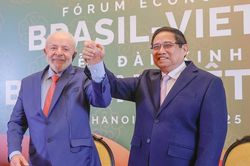 Hợp tác giữa Việt Nam và Brazil là không có giới hạn, không có cản trở