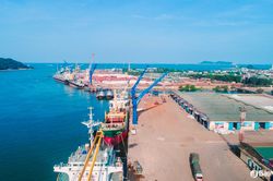 Kim ngạch xuất khẩu của Nghệ An tiếp đà tăng cao trong quý 1/2025