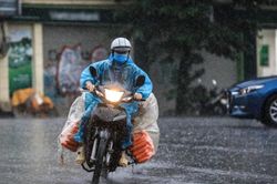 Thời tiết Nghệ An ngày 31/3: Có mưa nhỏ vài nơi, trời rét