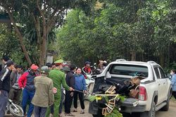 Va chạm với xe bán tải, hai học sinh thương vong