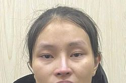 Bắt giữ đối tượng thực hiện hàng loạt vụ trộm cắp tài sản tại Quảng Bình