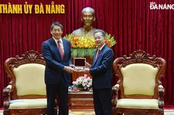 Mời gọi nhà đầu tư Nhật Bản đầu tư vào các dự án trọng điểm của thành phố Đà Nẵng
