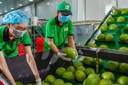 Mỹ áp thuế 46% đối với hàng Việt: doanh nghiệp hoang mang tìm giải pháp thích ứng