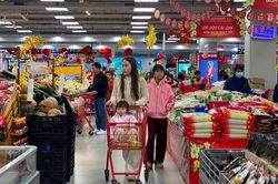 Tháng 3, chỉ số giá tiêu dùng CPI trên địa bàn Nghệ An giảm 0,44%