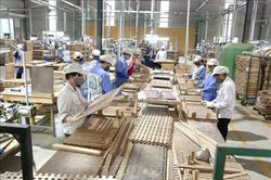Kinh tế tư nhân - trụ cột mới của nền kinh tế Việt Nam trong kỷ nguyên phát triển