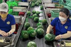 Bộ Tài chính: Việc Mỹ áp dụng thuế đối ứng 46% sẽ gây ảnh hưởng đến các ngành sản xuất của Việt Nam