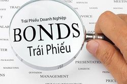 Thương mại Việt An ngắt mạch thua lỗ với lợi nhuận gần 80 tỷ đồng, nợ phải trả vượt 9.200 tỷ