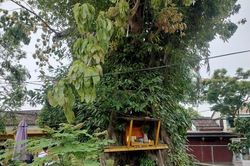 Điều tra vụ bia cổ trấn yểm ở Hội An bị phá hoại