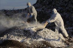 Mexico xác nhận ca nhiễm cúm gia cầm A/H5N1 đầu tiên ở người