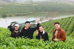 Đảo chè Cầu Cau có gì hấp dẫn du khách dịp nghỉ lễ?