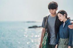 'Khi cuộc đời cho bạn quả quýt': Tuyệt tác chữa lành tạo nên cơn sốt toàn cầu