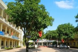 Nghệ An: Tìm đơn vị xây dựng Trường THCS Quang Trung tại gói thầu hơn 71 tỷ đồng