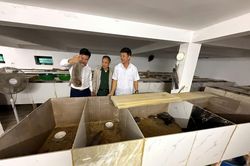 Nông dân Cao Xá thi đua sản xuất, kinh doanh giỏi