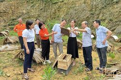 Nơi nông dân nương tựa