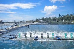 Quý I/2025: Nông, lâm, thủy sản bật tăng mạnh