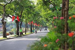 Miền Bắc có sương mù, hửng nắng về trưa chiều